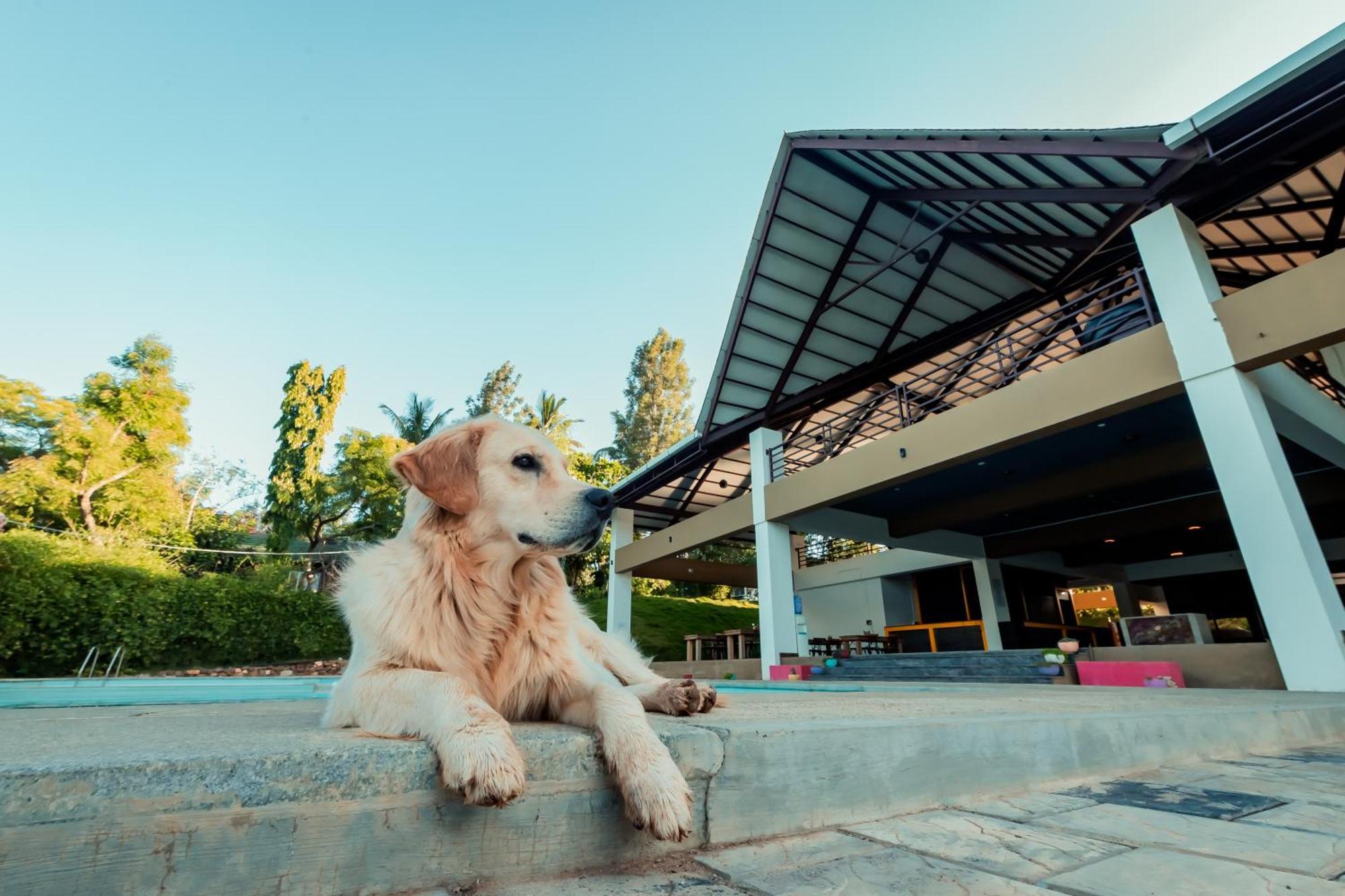 Commune18 Spa Resorts Chikmagalūr Zewnętrze zdjęcie