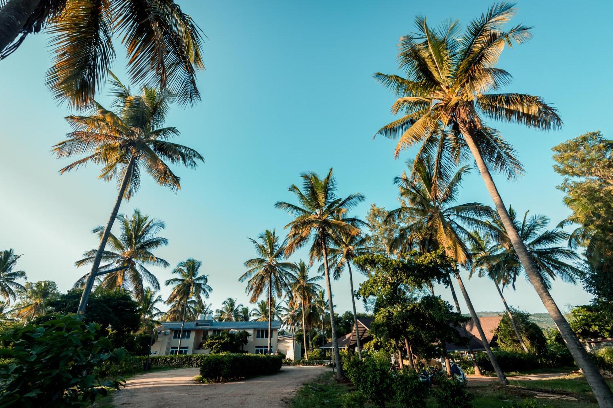 Commune18 Spa Resorts Chikmagalūr Zewnętrze zdjęcie